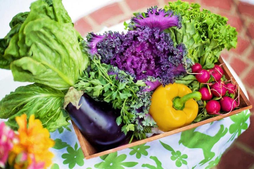 Przechowywanie warzyw. Jak przechowywać warzywa, aby zachowały świeżość?