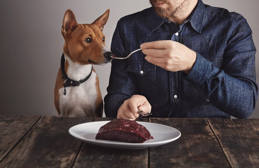 Czy karmienie psa surową wołowiną jest zdrowe?